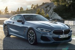 BMW 8 sērija G15 Kupeja 2018 - 2022 foto 12
